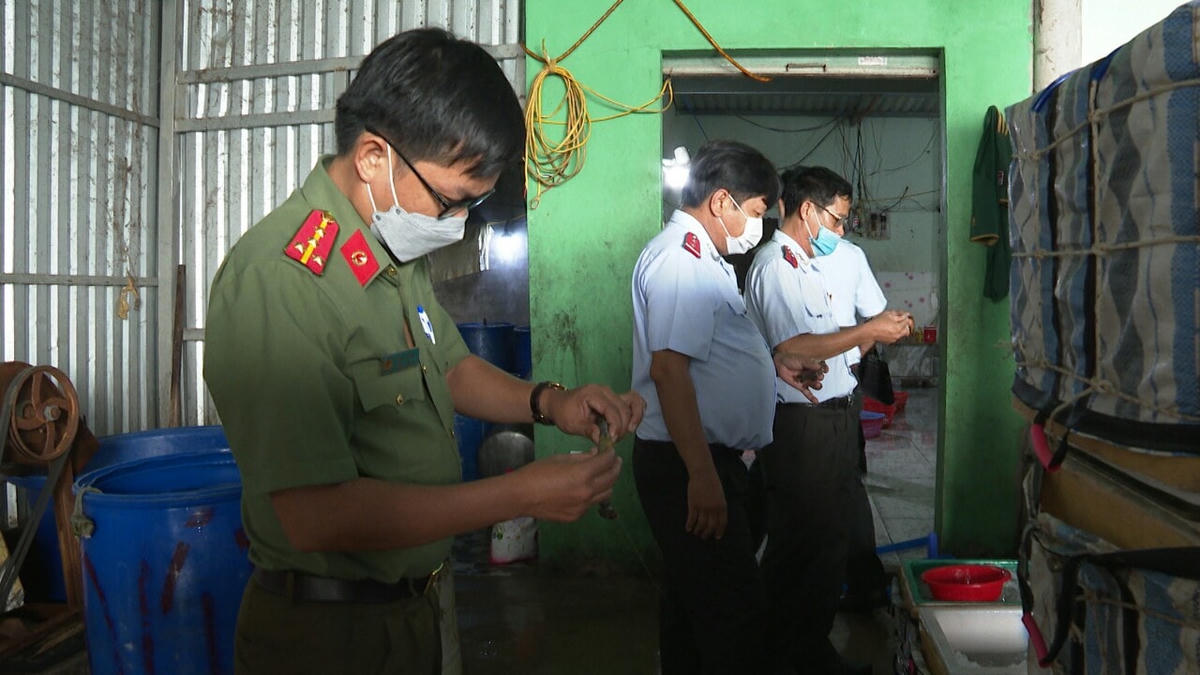 Lực lượng liên ngành gồm Thanh tra Sở NN&PTNT, Công an xã Tân Phong bắt quả tang cơ sở của ông Dúp tổ chức bơm, chích tạp chất  vào tôm nguyên liệu.