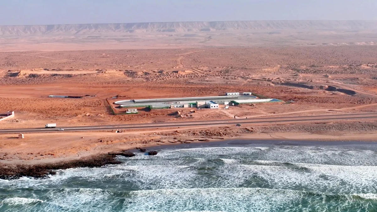 Cơ sở trồng tảo ở Sahara. Nguồn: CNN.