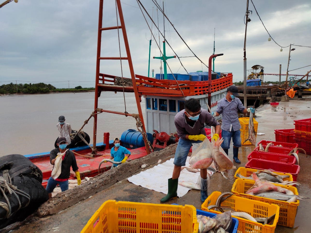Ngư dân chuyển hải sản lên bờ tại cảng cá Gành Hào huyện Đông Hải sau chuyến ra khơi.