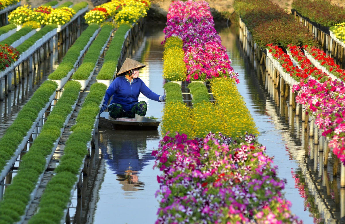 Giàn hoa trên mặt nước ở Sa Đéc.