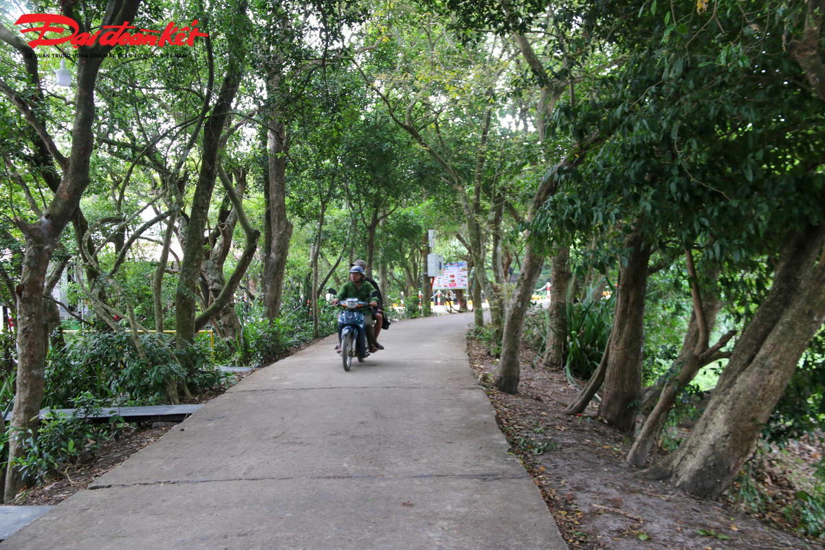Trằm Trà Lộc - ‘lá phổi xanh’ giữa miền cát trắng