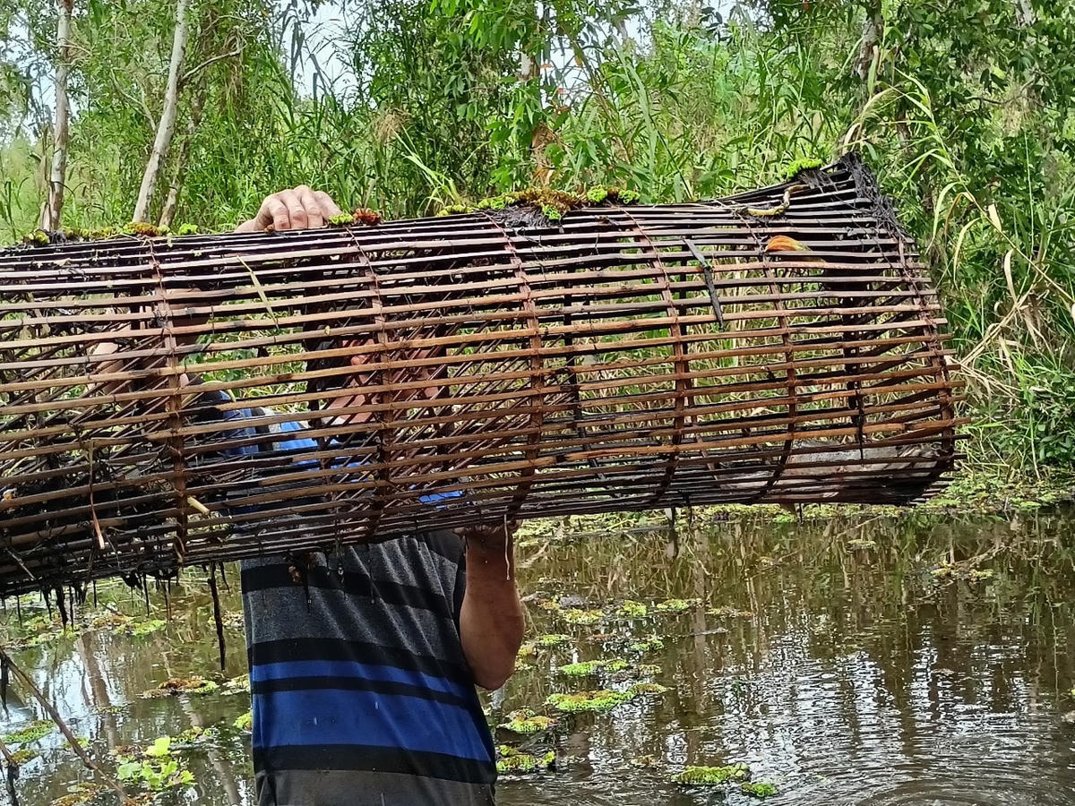 ...chúng tìm đường thoát ra ngoài.