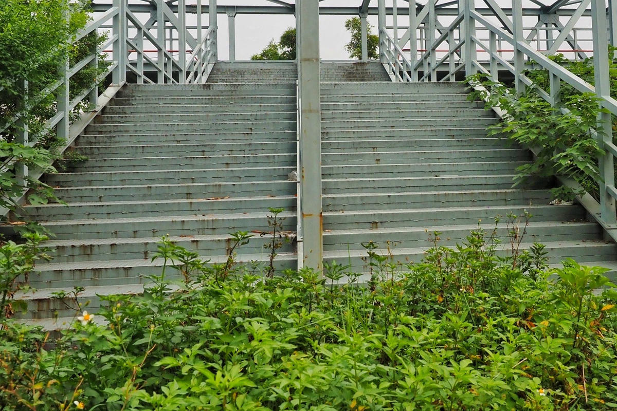 Cây, cỏ mọc um tùm ở ngay lối xuống cầu thang của cây cầu bộ hành này.