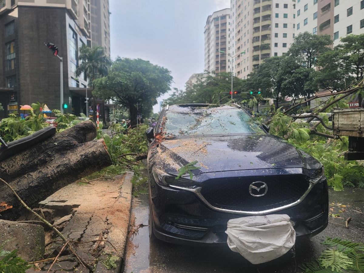 Chiếc xe bị hư hỏng phần kính lái và trần xe.