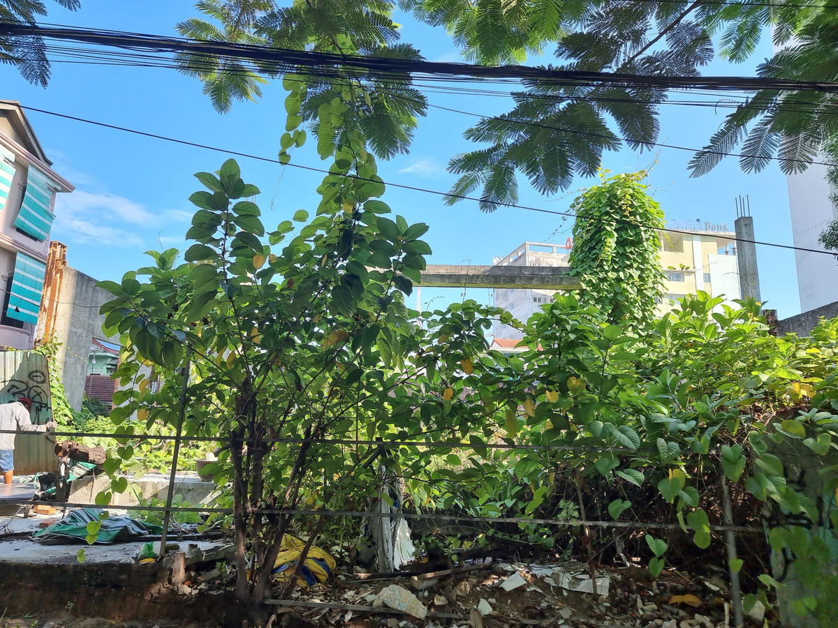 Theo Sở Tài nguyên và Môi trường tỉnh Thừa Thiên - Huế, khu đất này tỉnh đang rà soát thủ tục để kêu gọi đầu tư lại, nhưng hiện nay vì đang có khiếu nại của công ty cũ nên chưa triển khai được.