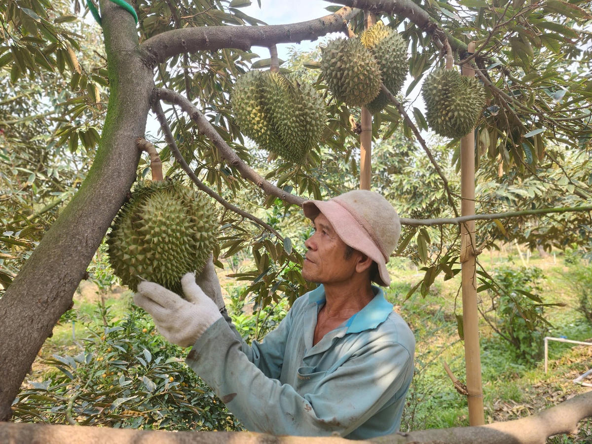 ảnh chính