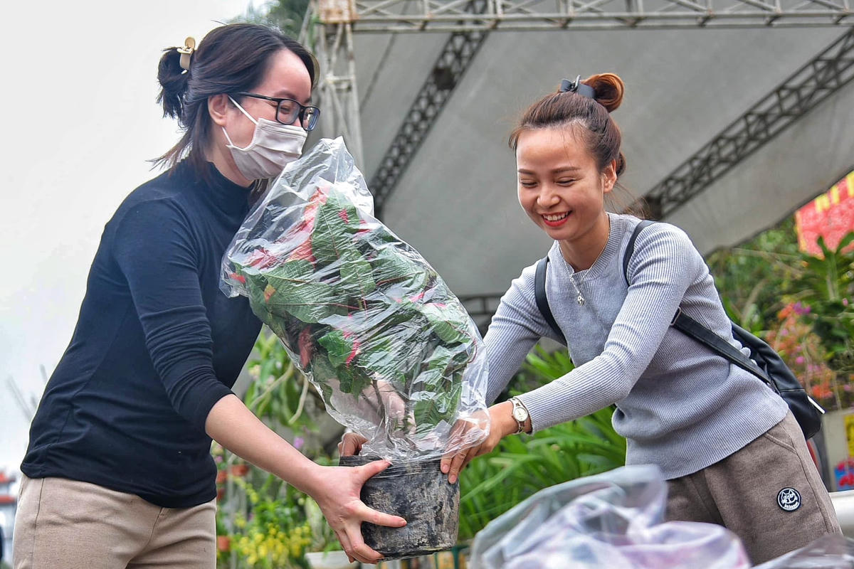 Từng khóm hoa được mang đến lễ hội đều được tỷ mỷ lựa chọn.