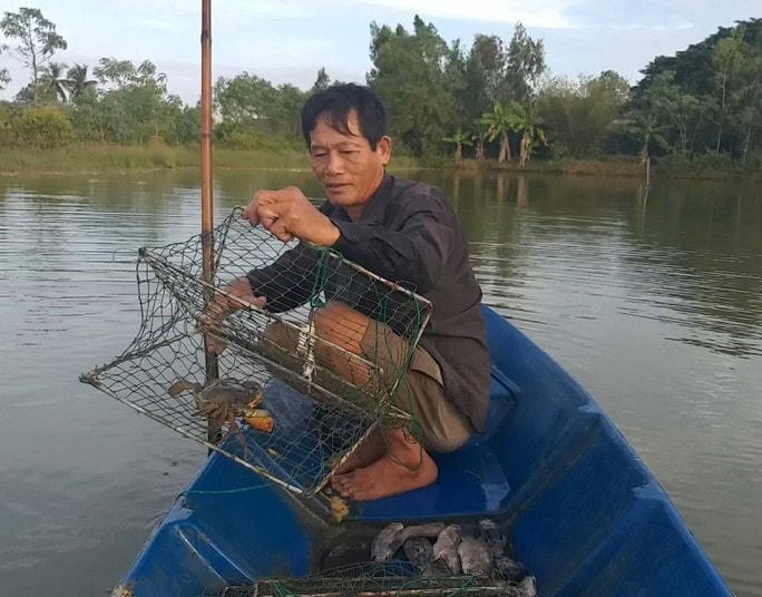 Cua Cà Mau có thịt chắc ngọt, vô cùng thơm ngon.