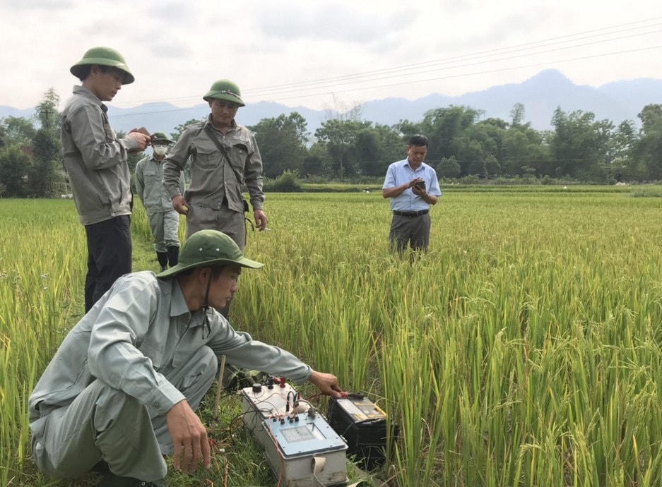 Liên đoàn Địa chất Bắc Trung bộ là đơn vị trực tiếp điều tra nguyên nhân sụt lún tại xã Châu Hồng. Theo yêu cầu của UBND tỉnh Nghệ An đơn vị này phải báo cáo kết quả nguyên nhân trước ngày 31/7/2022.