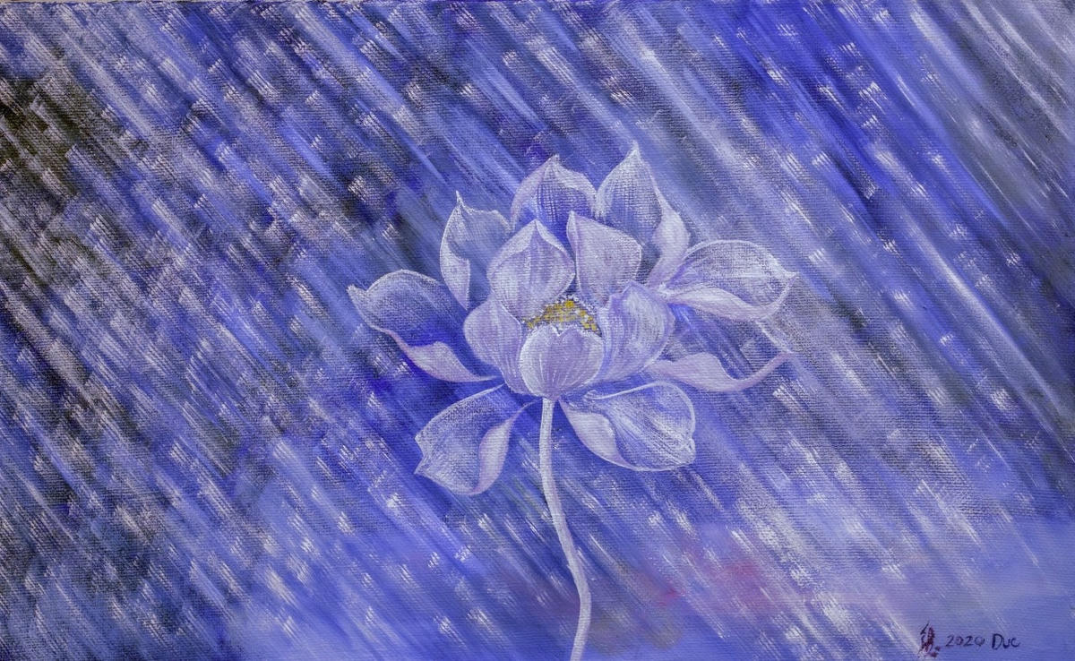 Hoa sen, vẻ đẹp thuần khiết.