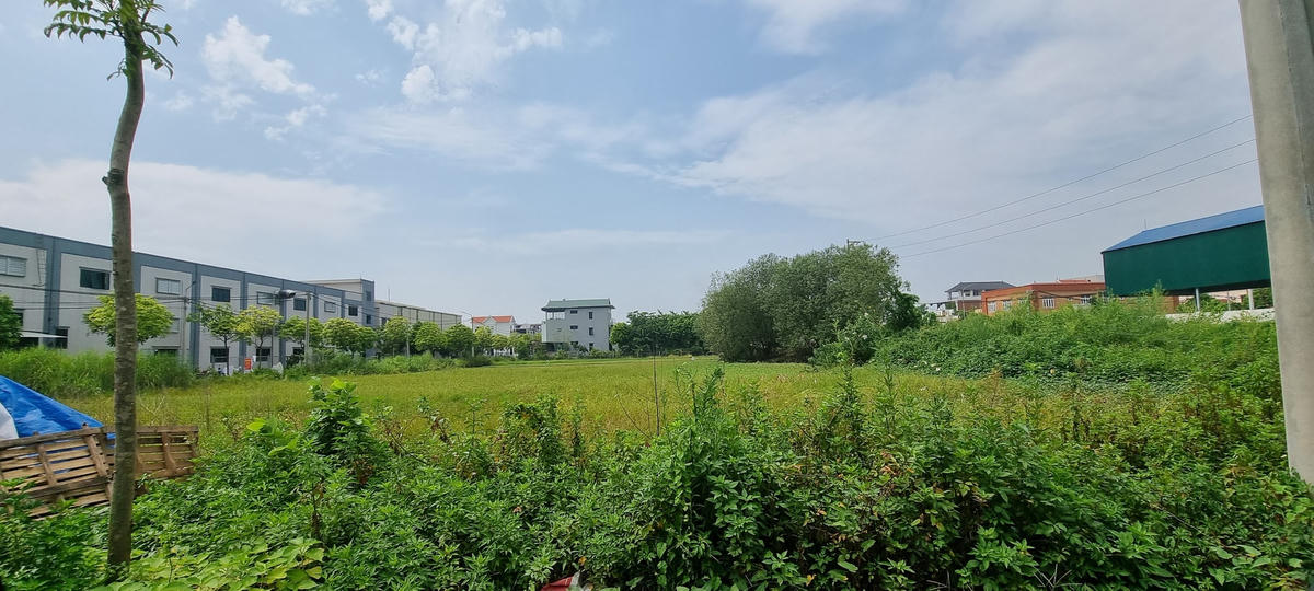 Diện tích đất bổ không tại Cụm công nghiệp Làng nghề Dương Liễu còn nhiều.