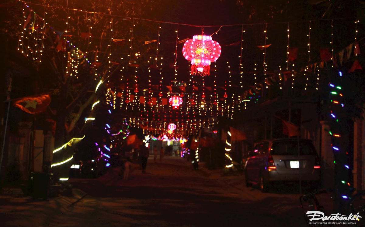 W_trang-tri-2.jpg