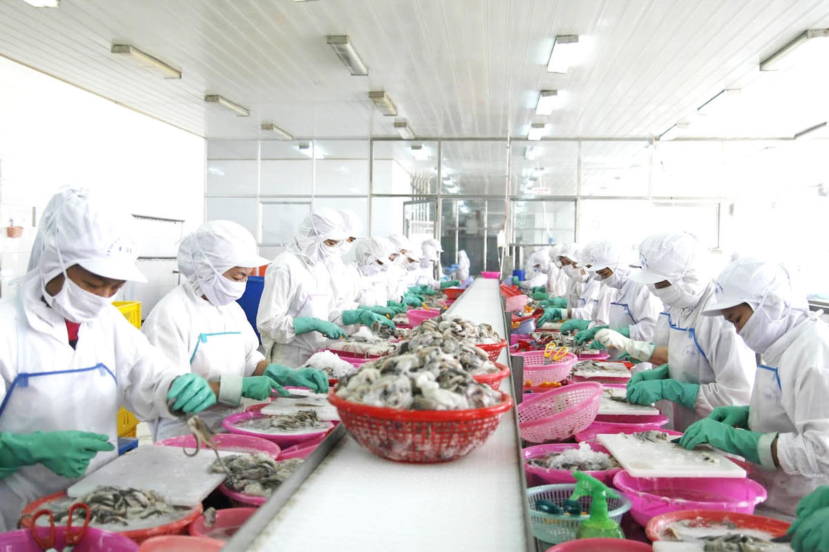 Các Hiệp định thương mại tự do mở ra nhiều cơ hội cho doanh nghiệp xuất khẩu Ảnh: Quang Vinh.