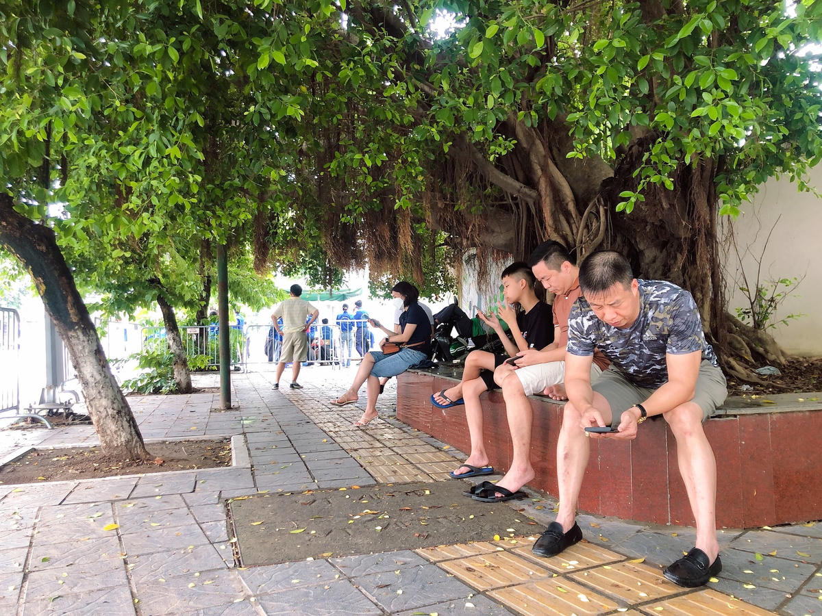 Tại điểm thi Trường THCS Dịch Vọng (phường Dịch, quận Cầu Giấy), nhiều phụ huynh lựa chọn những tán cây to để ngồi nghỉ và chờ đợi.