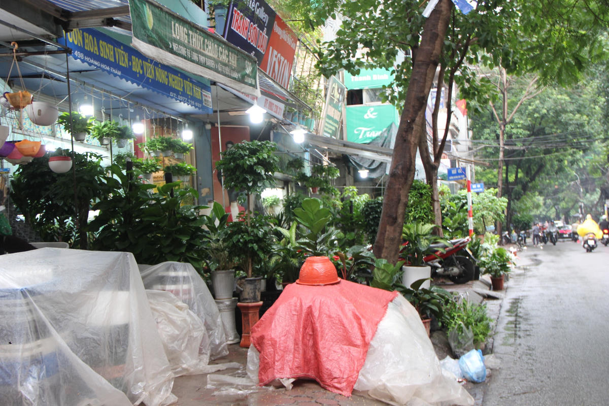 Bà Nguyễn Thị Hường một người dân phường Vĩnh Phúc (quận Ba Đình) cho biết: "Khu vực bán cây cảnh và đồ sứ ở dọc đường Hoàng Hoa Thám diễn ra lâu lắm rồi. Trước Công an đã ra quân dẹp những trường hợp buôn bán lấn chiếm vỉa hè, nhưng dẹp xong đâu cũng vào đó thôi".