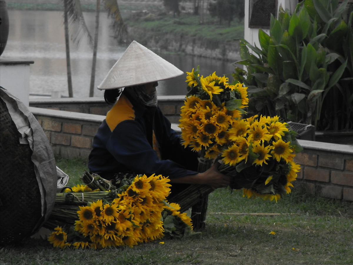 Người mẹ tảo tần. Ảnh: Lê Vân.  