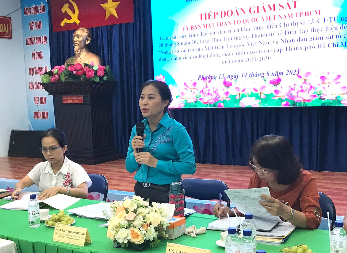 Bà Phan Kiều Thanh Hương phát biểu tại buổi giám sát.