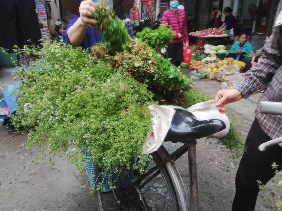 Một xe mùi già để người dân mua về tắm, tẩy trần ngày Tết theo phong tục tập quán.