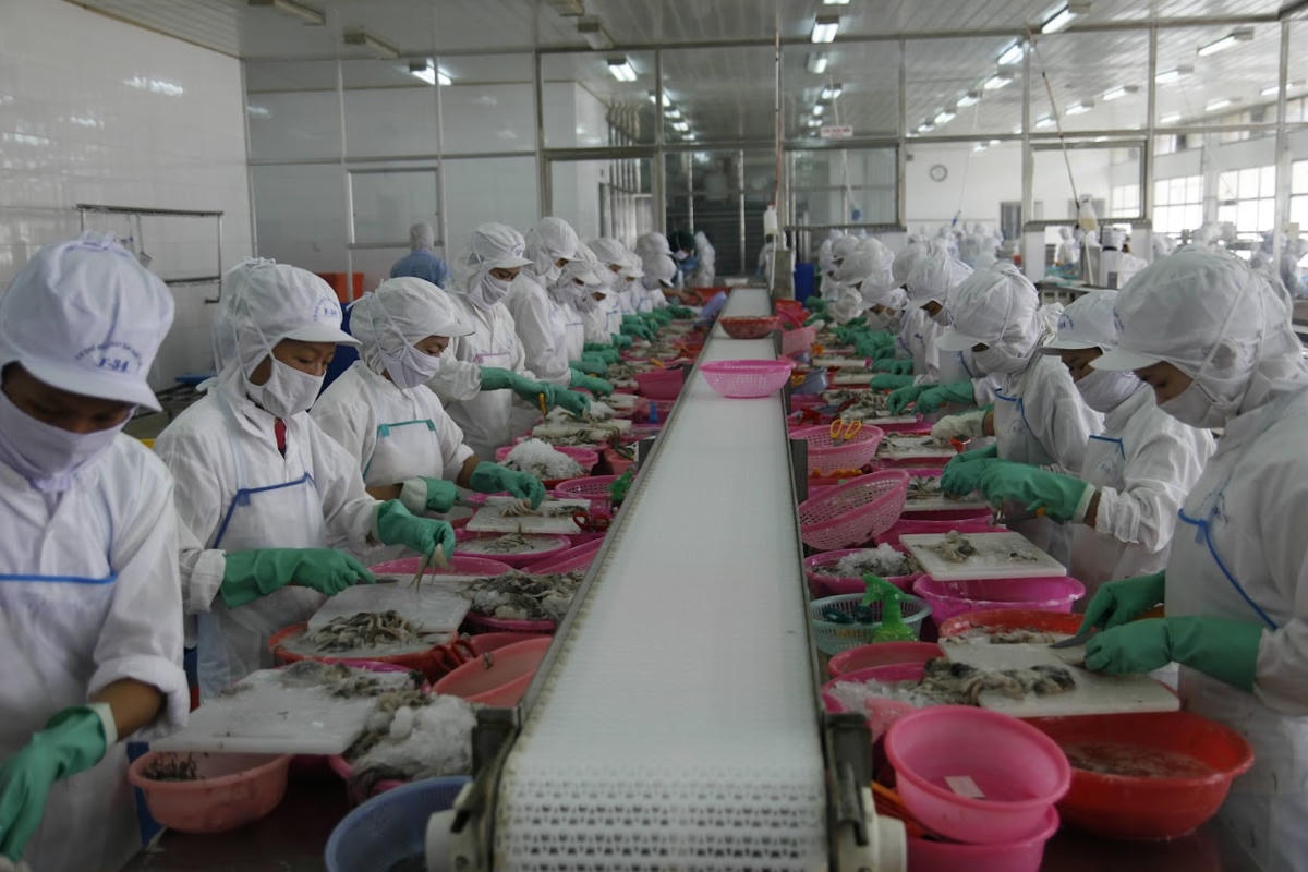 Xuất khẩu thủy sản của Việt Nam trong năm 2022 đã đạt được nhiều kỳ tích. Ảnh: Quang Vinh.