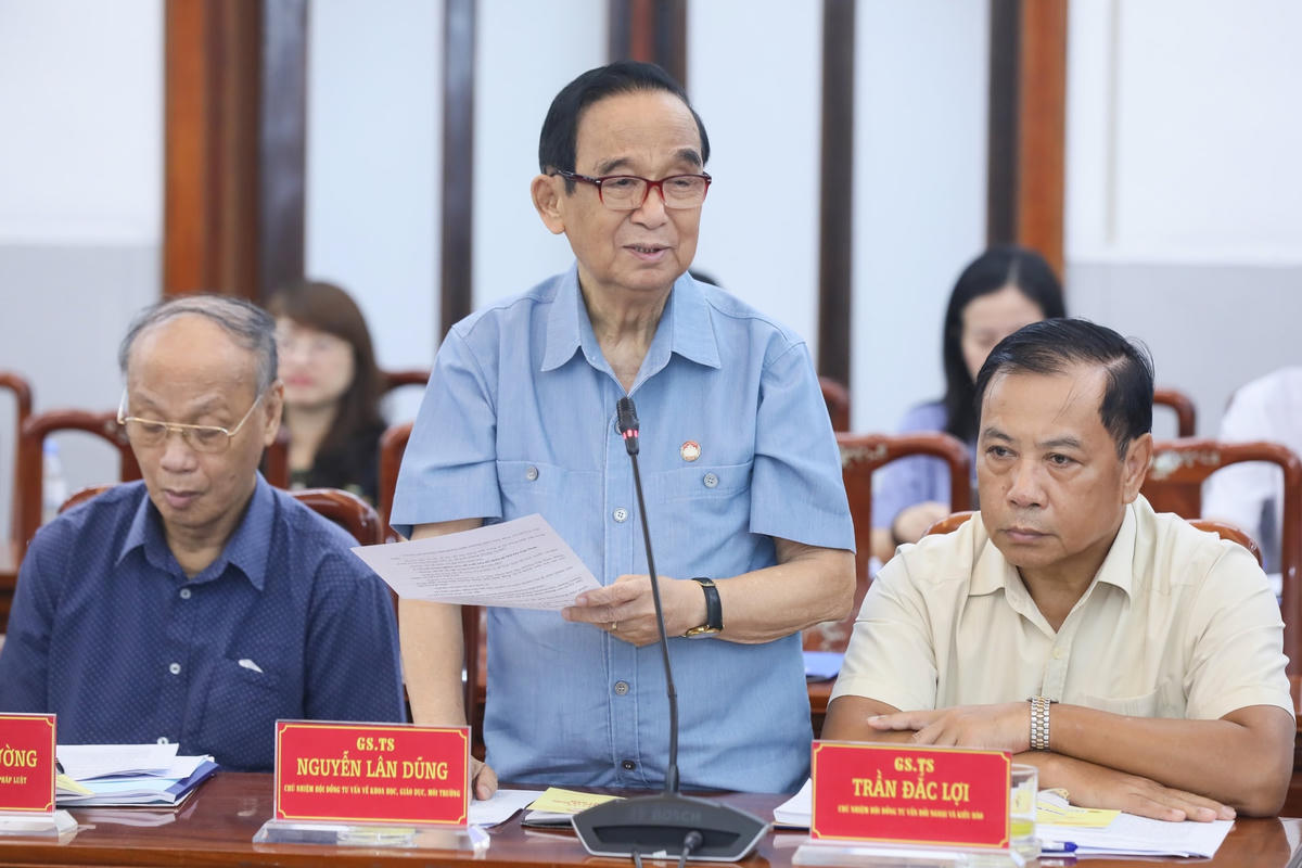 Các tổ chức thành viên, Hội đồng tư vấn góp ý xây dựng báo cáo chính trị và sửa đổi điều lệ MTTQ Việt Nam