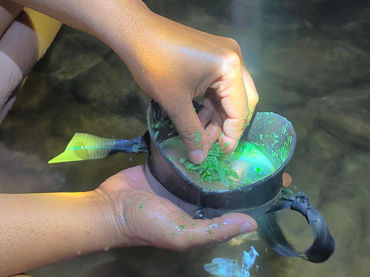 Mặt nạ lặn bắt cá được người dân rửa sạch bằng một loài lá rừng.