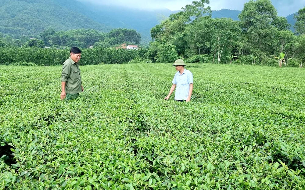 Chương trình mục tiêu quốc gia 1719 đã góp phần nâng cao đời sống đồng bào dân tộc thiểu số và miền núi. Ảnh: Anh Tú.