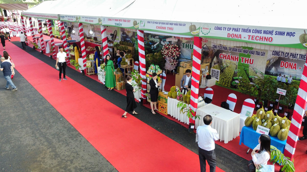 Các gian hàng sầu riêng trưng bày tại buổi lễ công bố xuất khẩu. Ảnh: Hoàng Long.