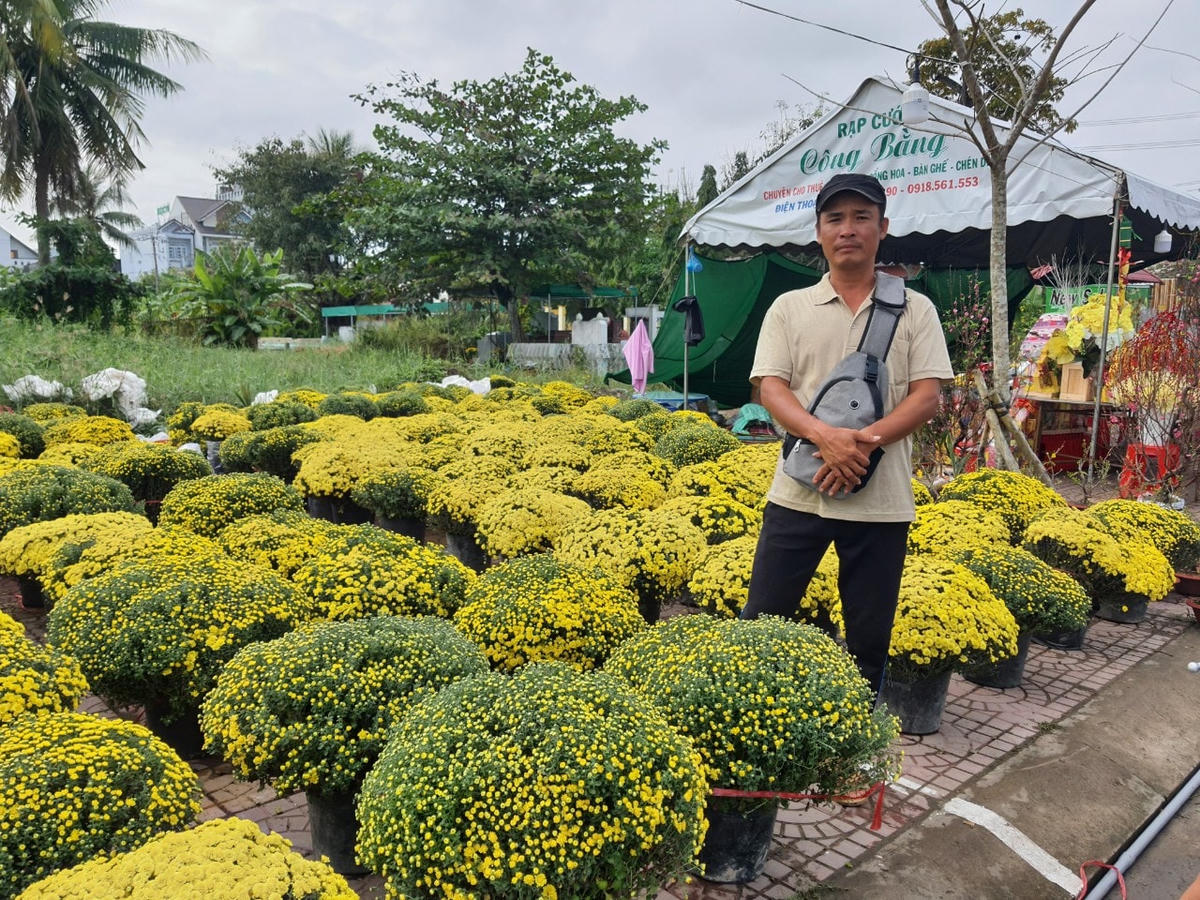 Cúc mâm xôi vài ngày trước có giá 400.000 - 450.000 đồng/cặp nhưng hôm nay các tiểu thương bán chỉ  còn 200.000 đồng/cặp để kịp tiêu thụ cho hết hàng.
