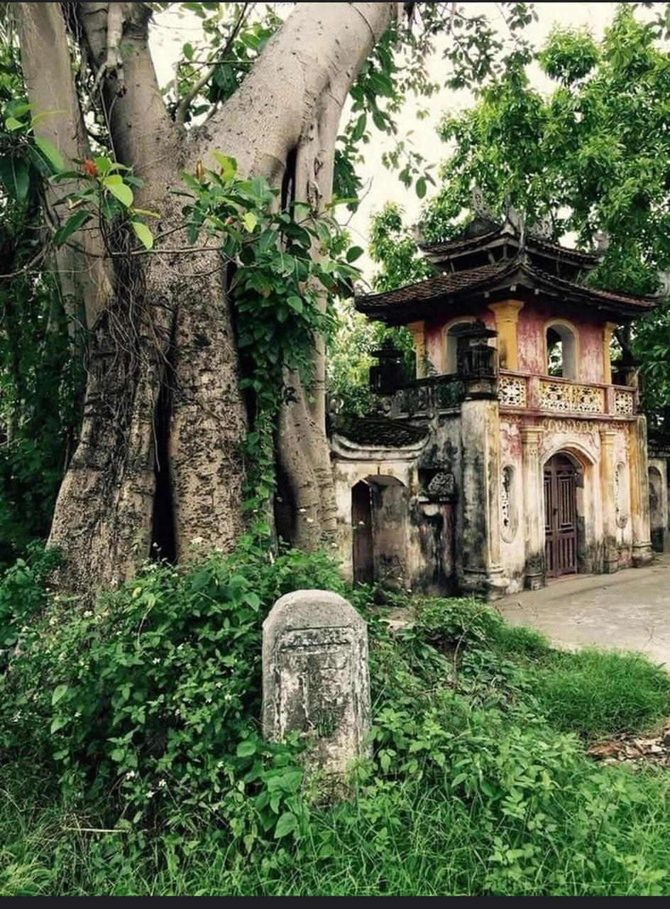 Nghi môn đền An Liệt trước khi bị phá bỏ.