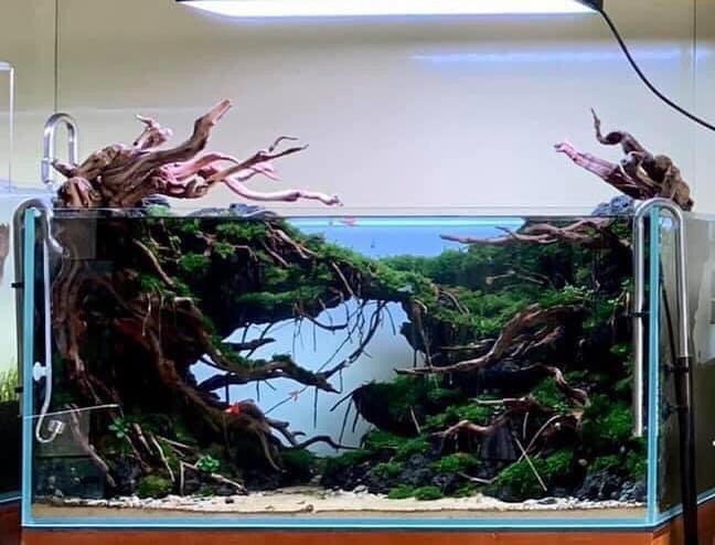 Mỗi sản phẩm đều mang đến sự độc đáo, mới lạ không trộn lẫn. Ảnh: NVCC. 