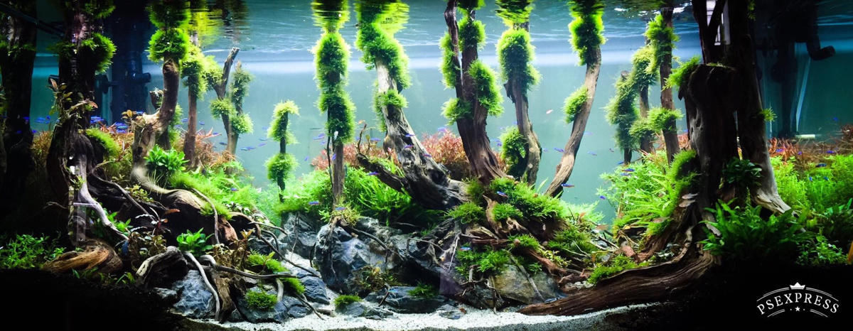 Anh Linh tận dụng gỗ để tạo nên nhiều sản phẩm đẹp mắt. Ảnh: NVCC. 