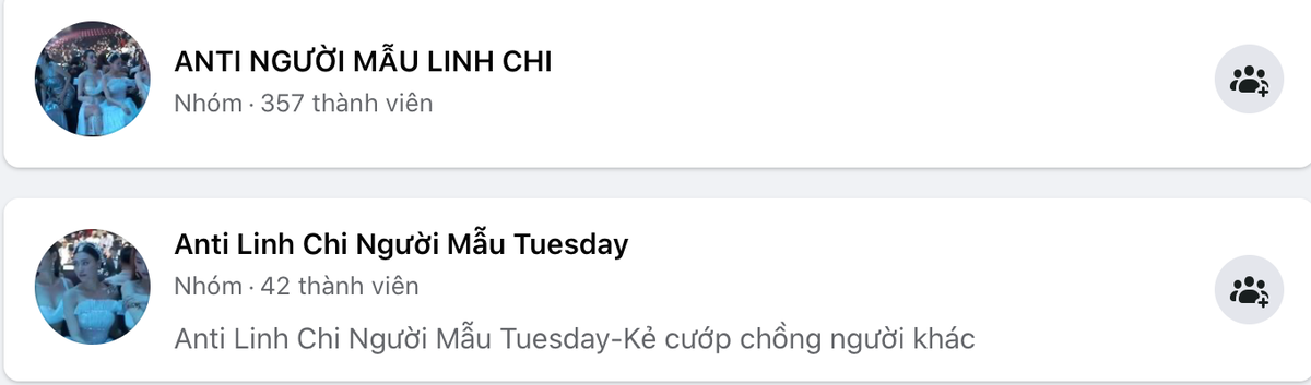 Loạt các nhóm "anti" Linh Chi, Ninh Dương Lan Ngọc, Ngọc Trinh mới được lập ra. (Nguồn Facebook)