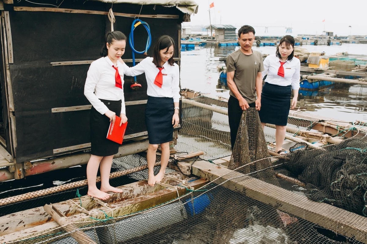 Hỗ trợ khách hàng tại 19 tỉnh thành phía Nam: Agribank giảm thêm lãi suất cho vay