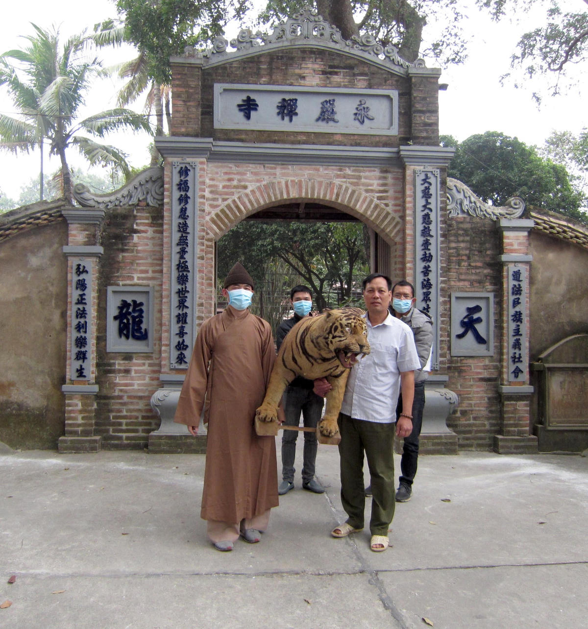 Tiêu bản hổ được nhà chùa tại Bắc Giang chuyển giao ngày 3/2/2021. Nguồn: ENV 