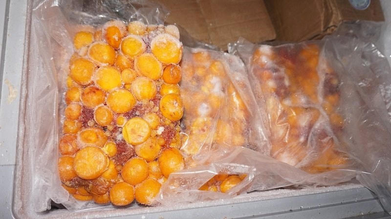 Nội tạng đông lạnh đang phân hủy, bốc mùi hôi thối.