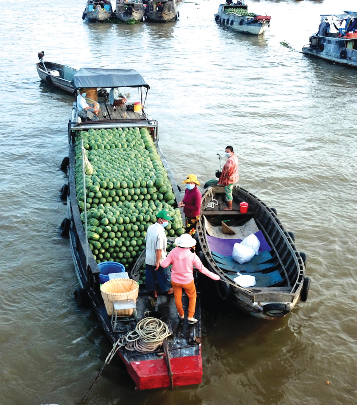 Các bạn hàng đang trao đổi mặt hàng dưa hấu.  
