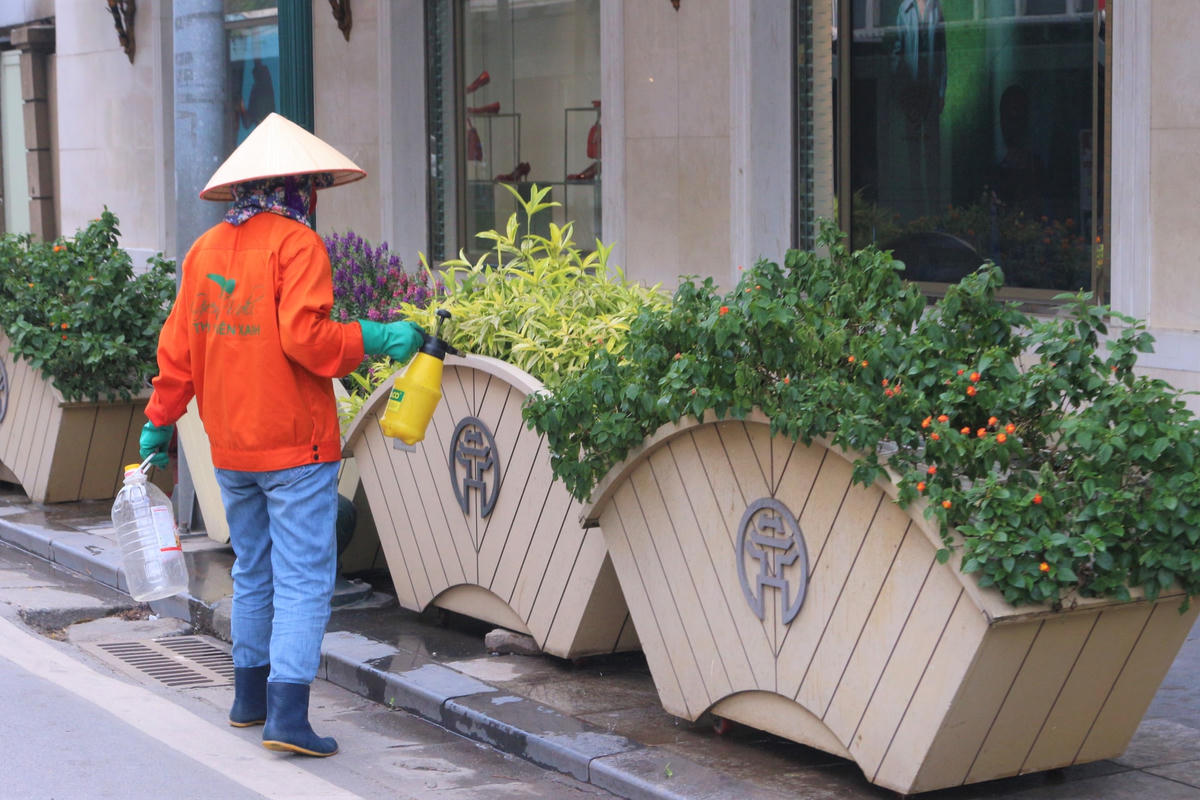 [ẢNH] Hà Nội: Ngắm nhìn nét đẹp lao động giữa mùa dịch