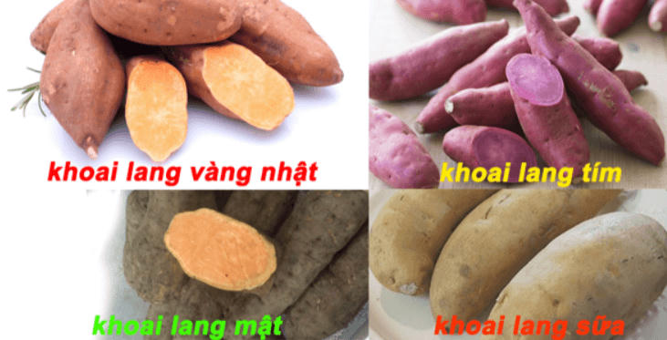 Món ăn, bài thuốc quý từ khoai lang
