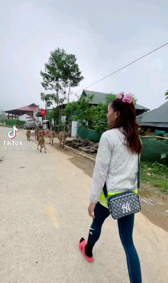 Hoa hậu H'Hen Niê mặc trang phục giản dị, tay cầm gậy tre hoá thân thành người chăn bò.