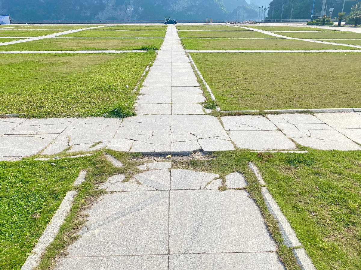 Cỏ mọc len lỏi vào những phần vỡ nứt của mặt nền Quảng trường.