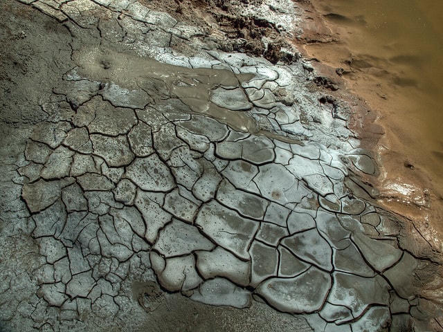 Biển Salton ở California, Mỹ, đã giết chết 97% số cá sống trong đó trong suốt 10 năm.  