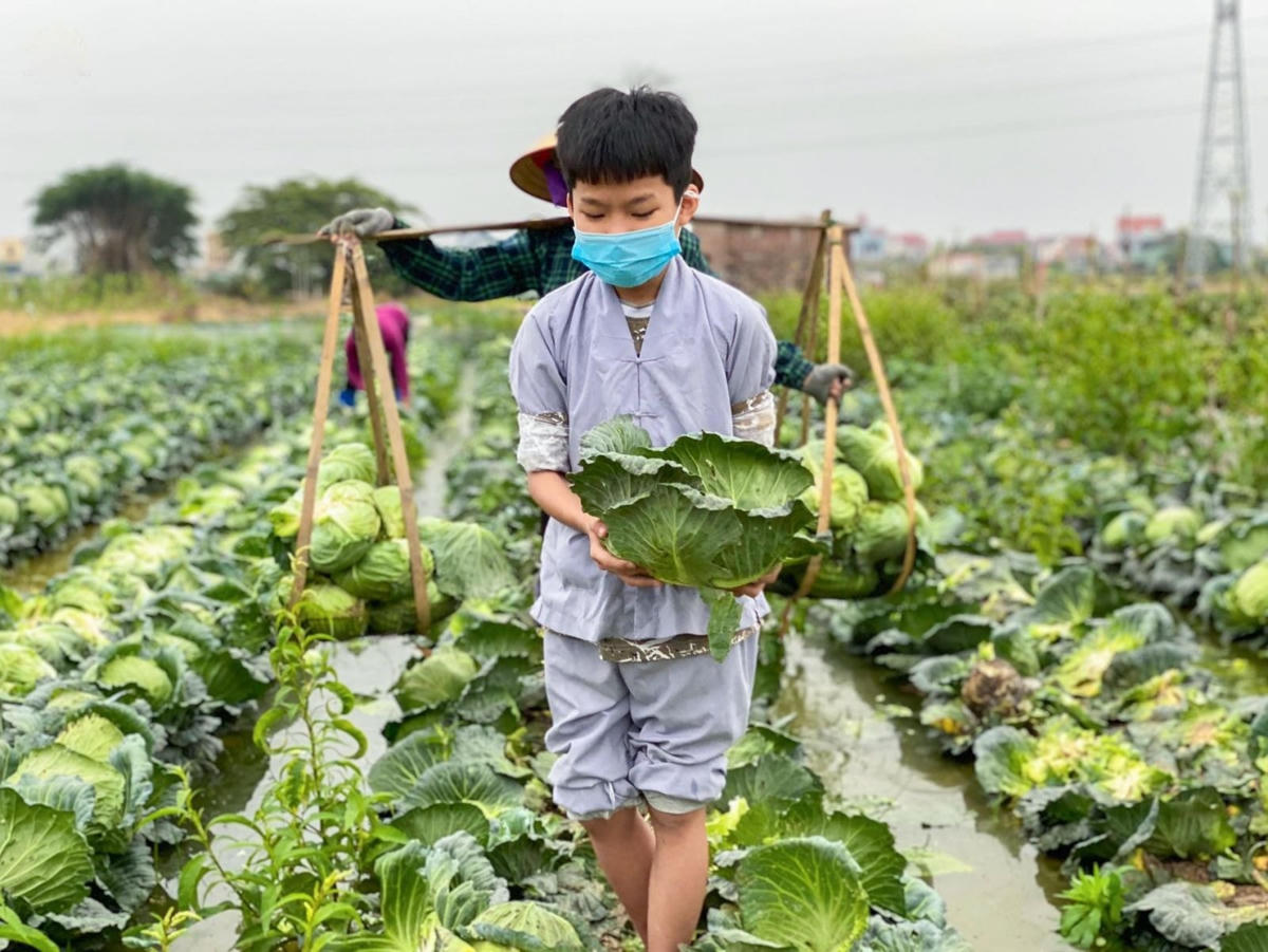 Phật tử nhí xuống tận ruộng hỗ trợ nông dân tiêu thụ nông sản.
