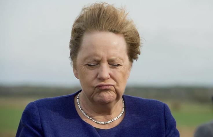 Thủ tướng Đức Angela Merkel đứng trong gió tại sự kiện Khai trương Trung tâm thông tin du lịch và Khánh thành một chiếc xe buýt điện, trên đảo Ummanz, ở Đông Bắc nước Đức, năm 2019.