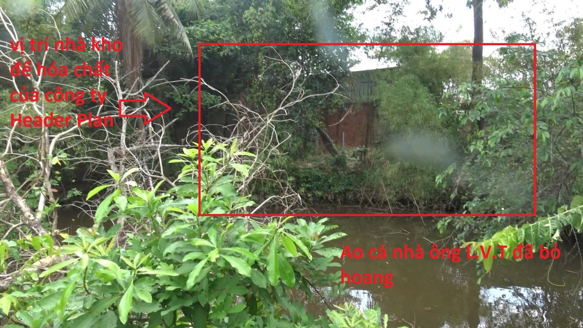 Vị trí nhà kho của Công ty TNHH Header Plan nằm bên sát ao cá nhà ông L.V.T đã bỏ hoang mấy năm nay.