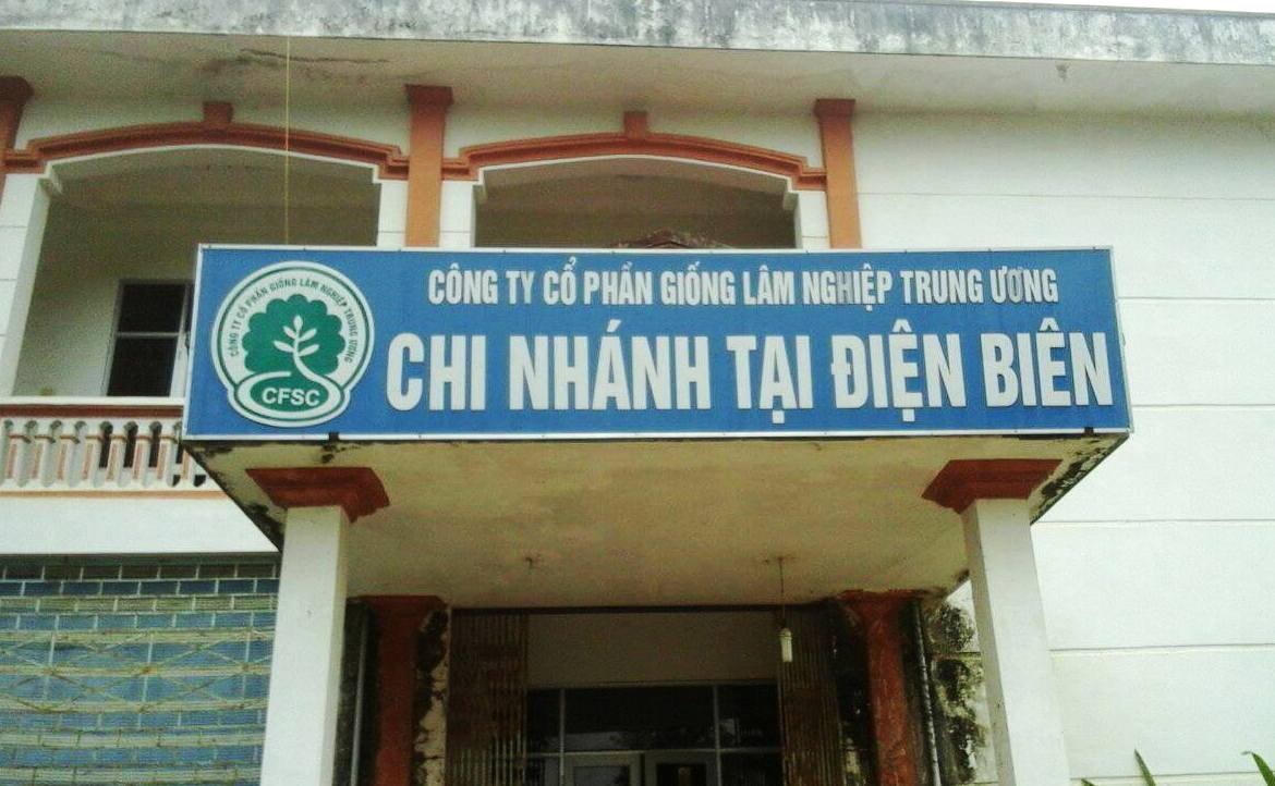Công ty Cổ phần giống Lâm nghiệp Trung ương, chi nhánh Điện Biên.