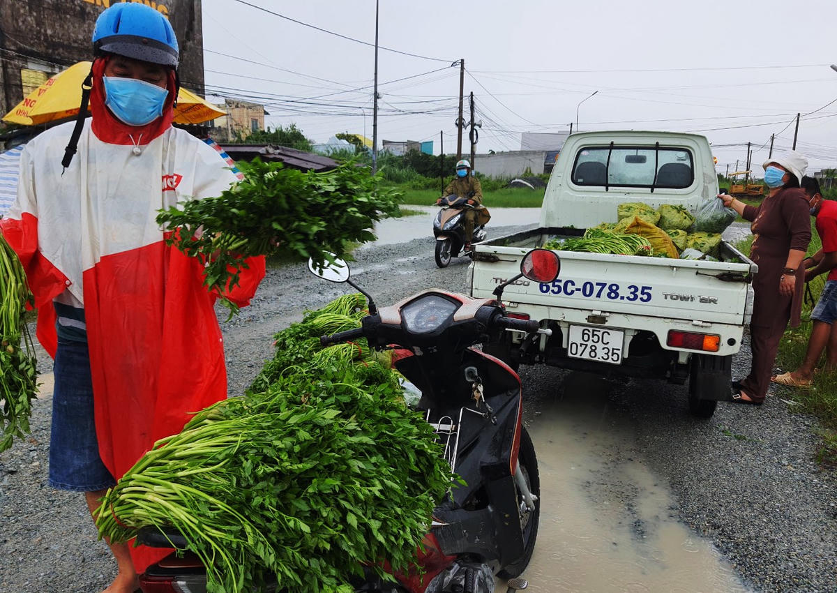 Mua rau hỗ trợ cho người nông dân.