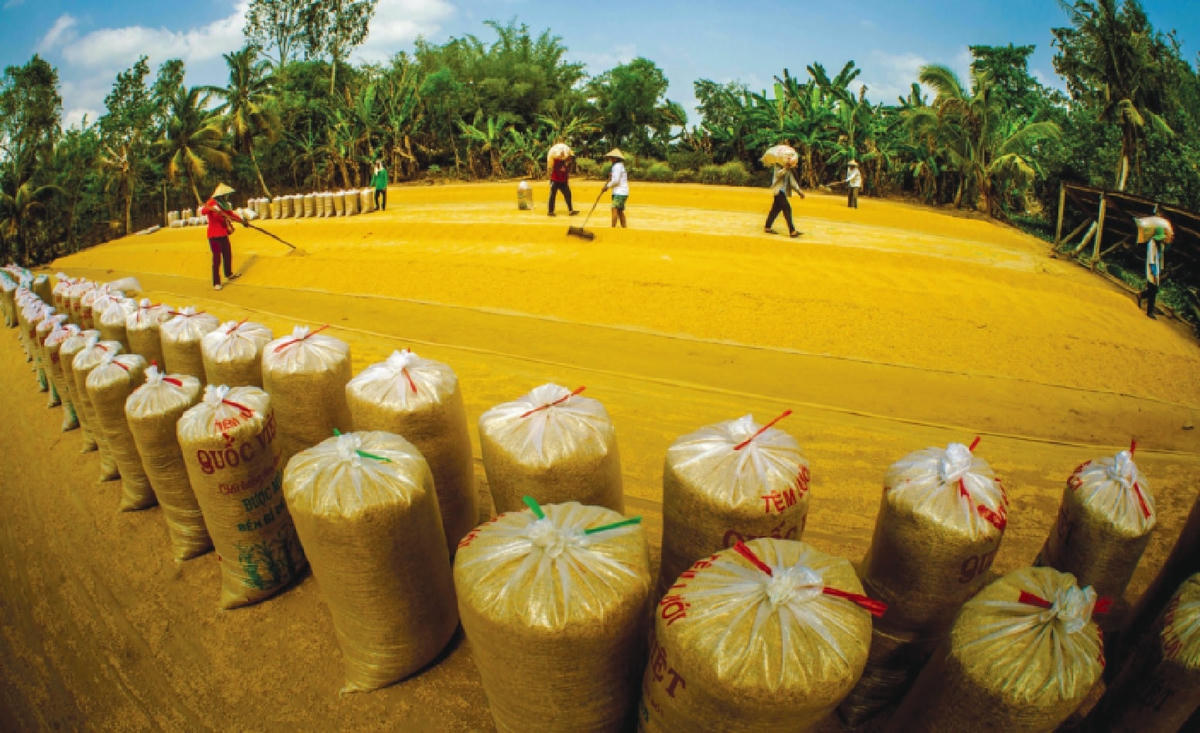 Hậu Giang: Từng bước khẳng định vị thế trong khu vực