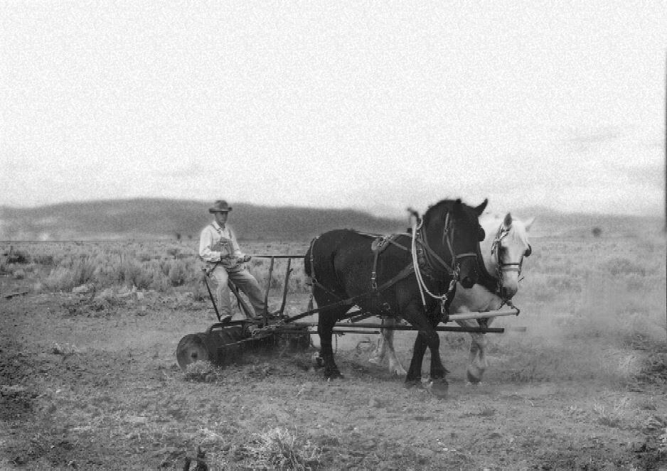 Cậu bé nông dân 14 tuổi Philo Taylor Farnsworth, chụp năm 1921. Ảnh: The History of TV.