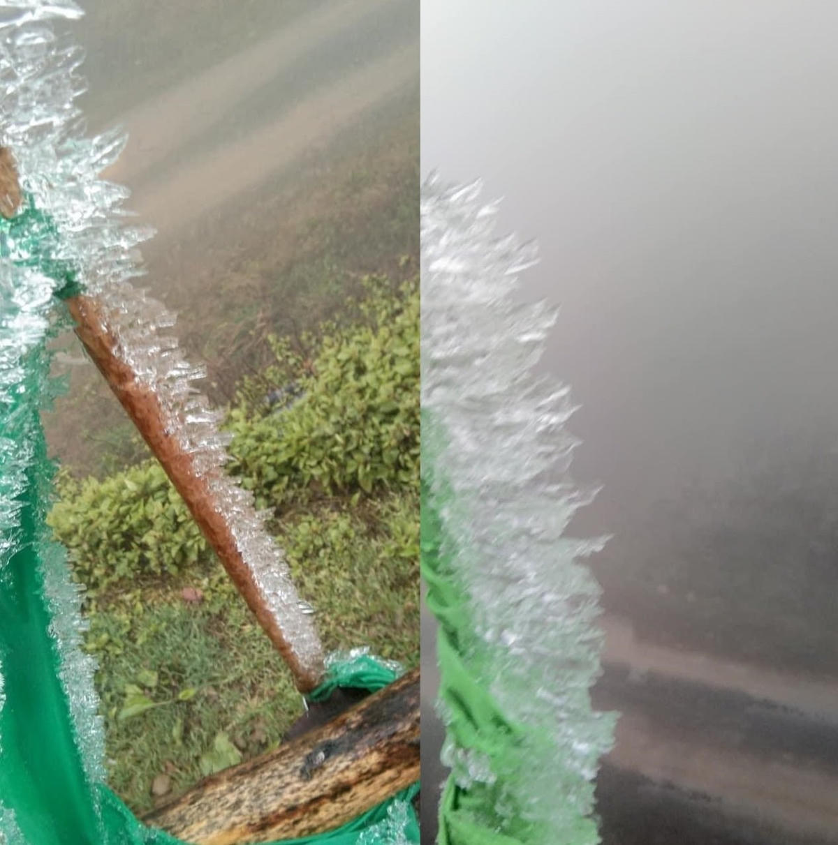 Băng giá xuất hiện, bám vào cành cây, bờ rào ở xã Na Ngoi, Kỳ Sơn (Nghệ An).