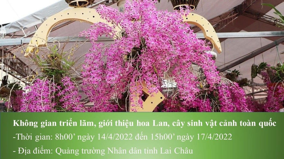Phong phú các hoạt động Tuần Du lịch - Văn hóa Lai Châu 2022